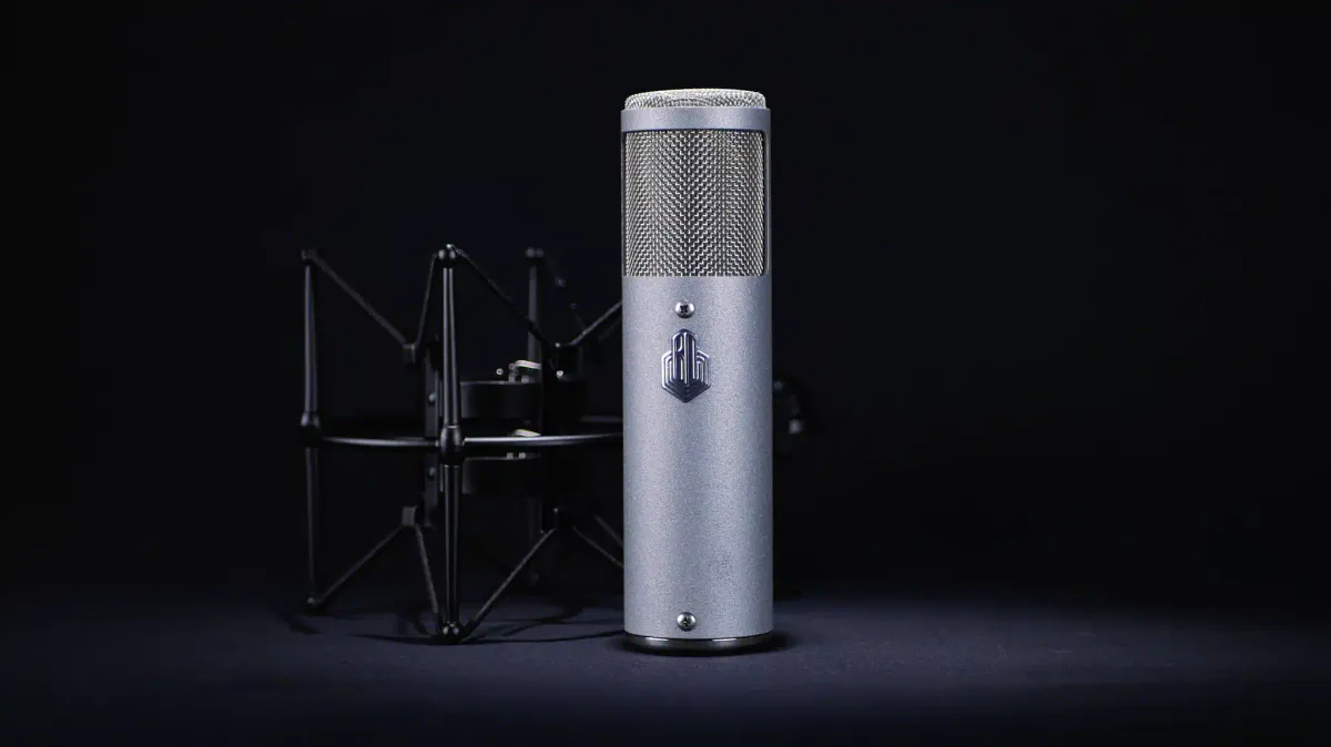 Beesneez pro Audio  Isabell  Large-diaphragm FET condenser microphone